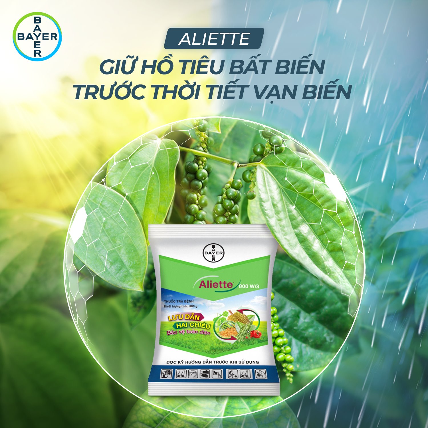 Thuốc trừ bệnh Aliette 80WG - Gói 100g